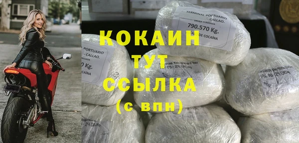 кокс Каменка