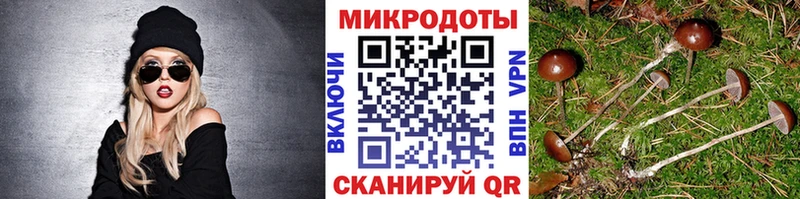 Галлюциногенные грибы Cubensis  Купить где  Камешково 